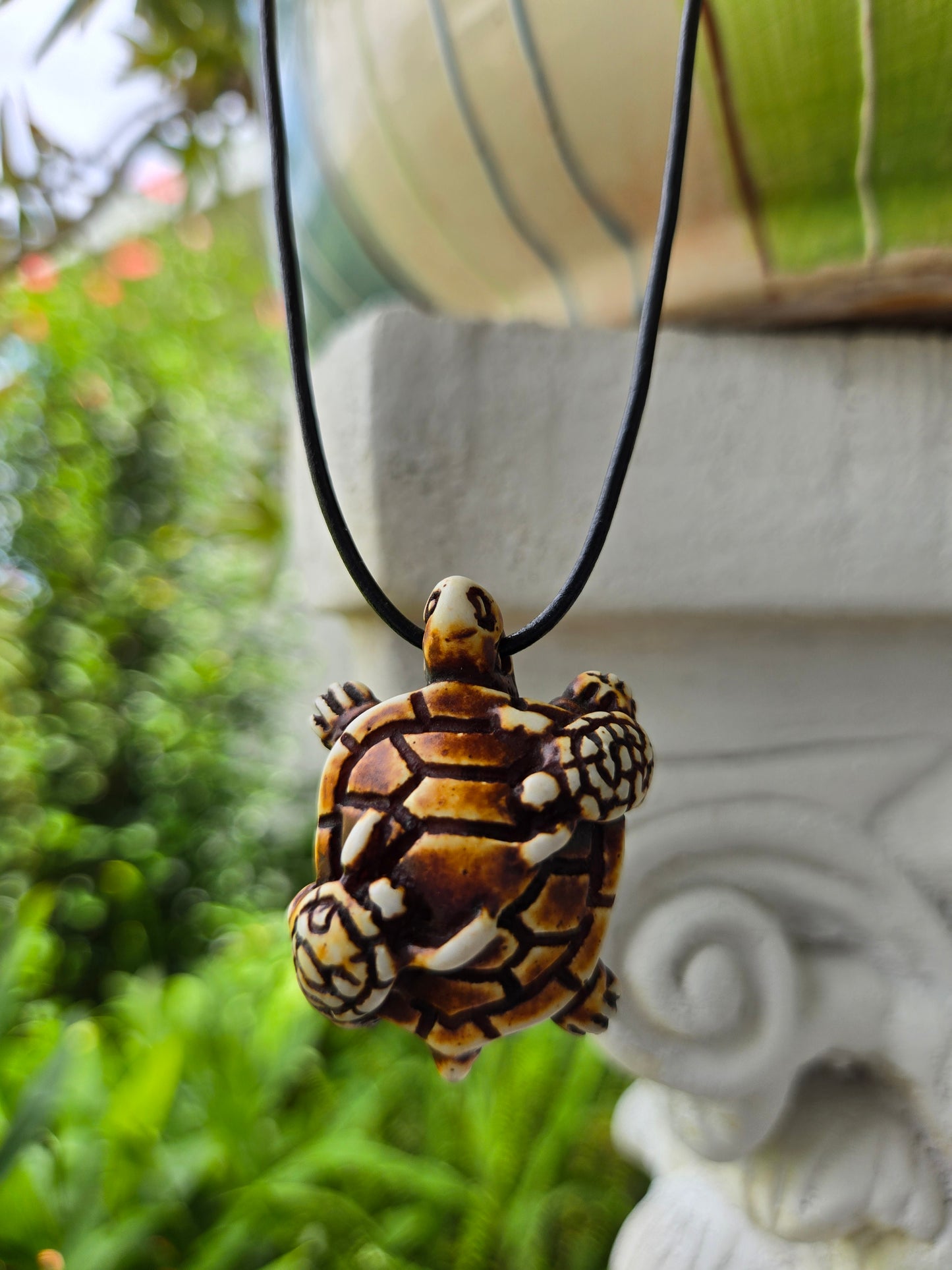 Turtles