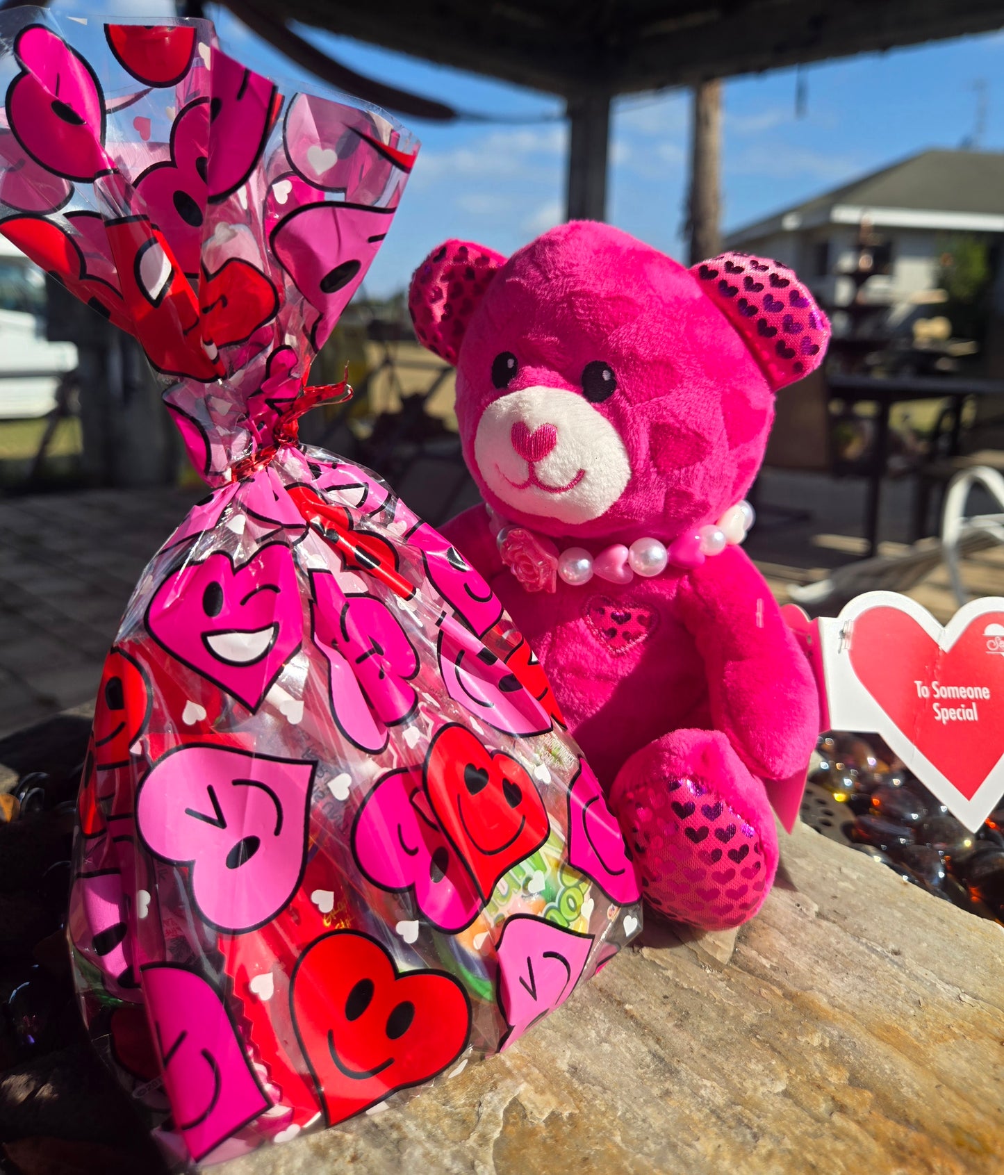 Teddy Bear Hot Pink with Handmade Necklace and Candy Bag