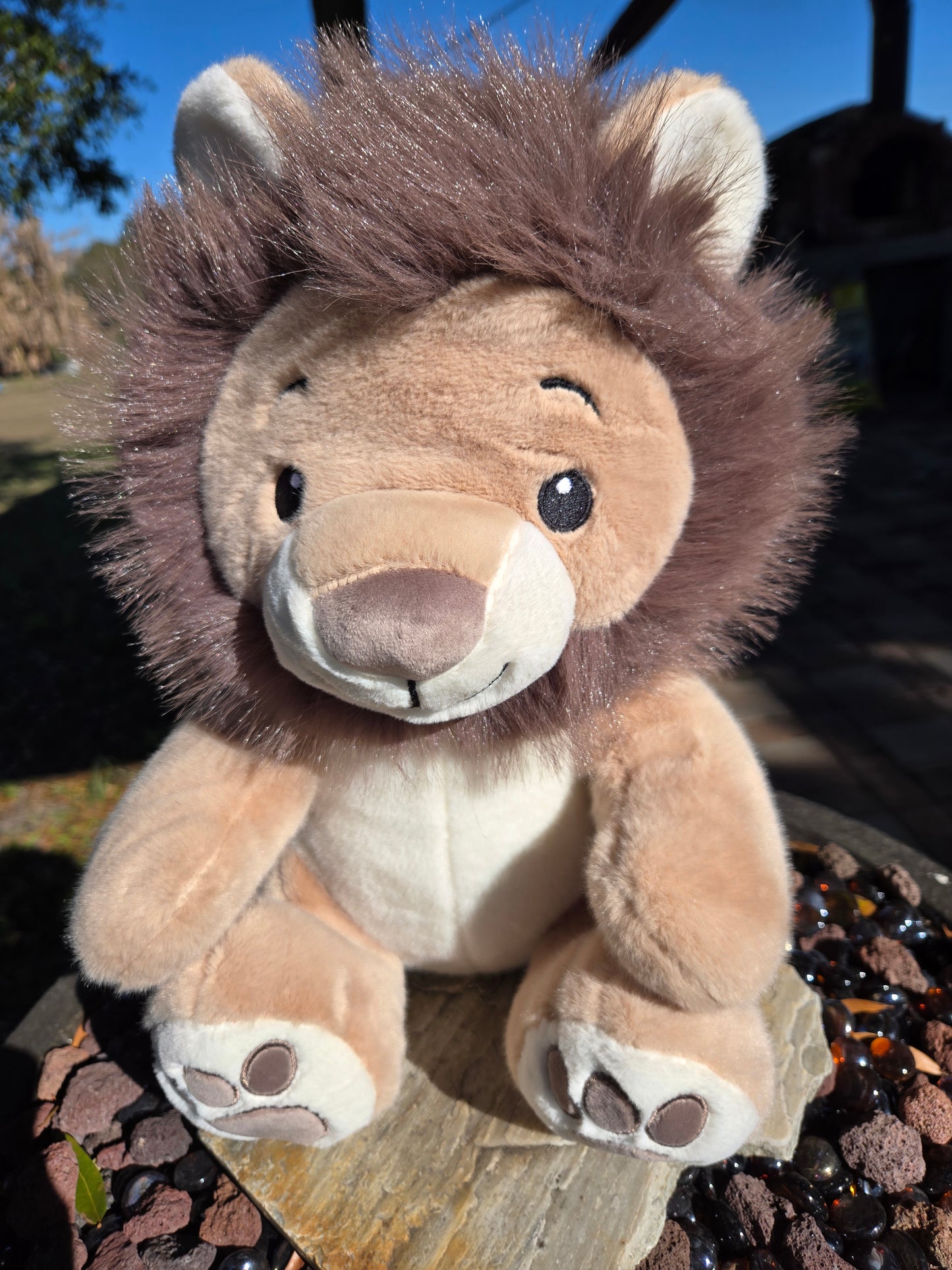 Lion Cub 12 inches high