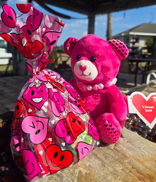 Teddy Bear Hot Pink with Handmade Necklace and Candy Bag