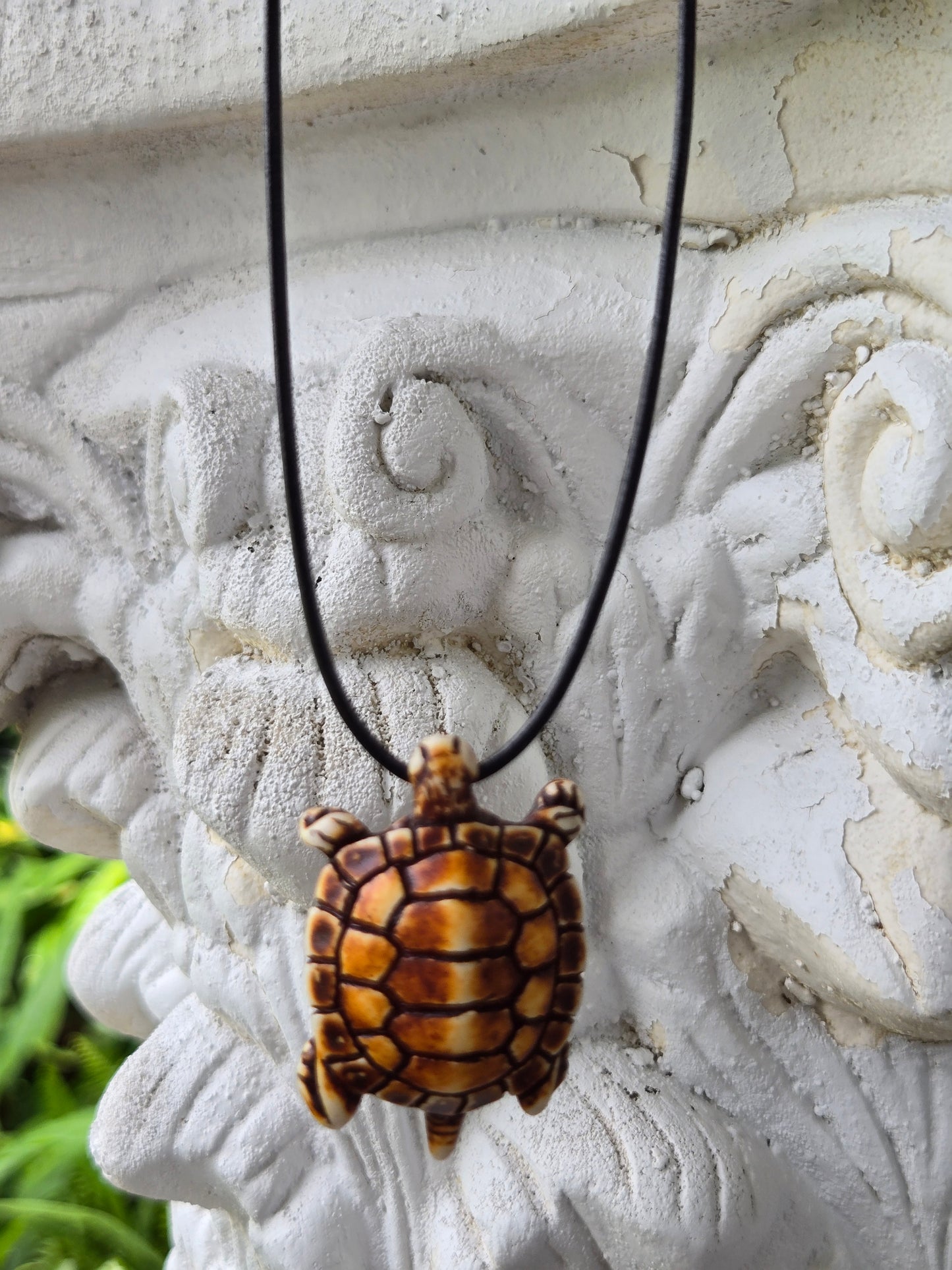 Turtles